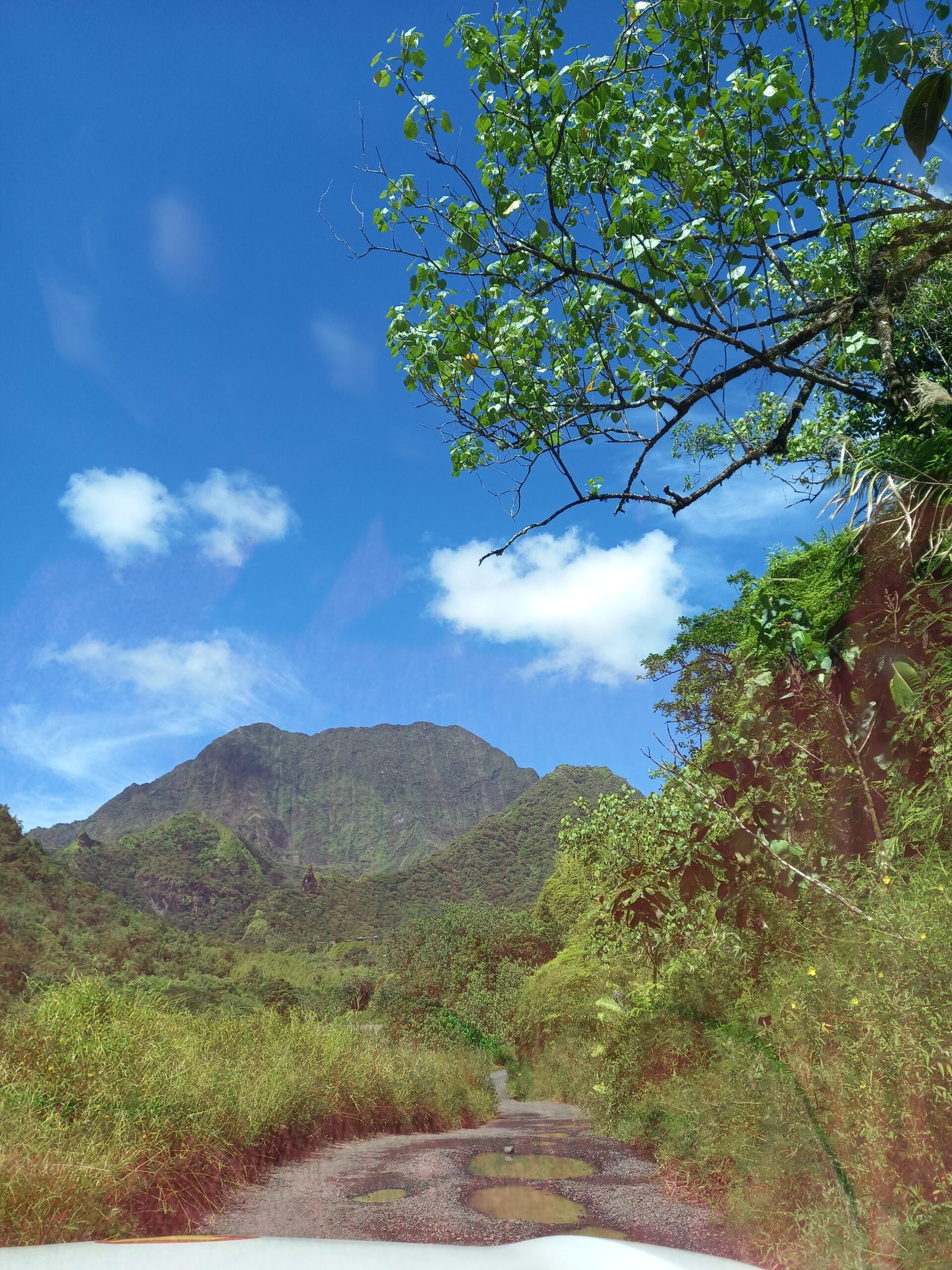 20210407 102718 Scaled