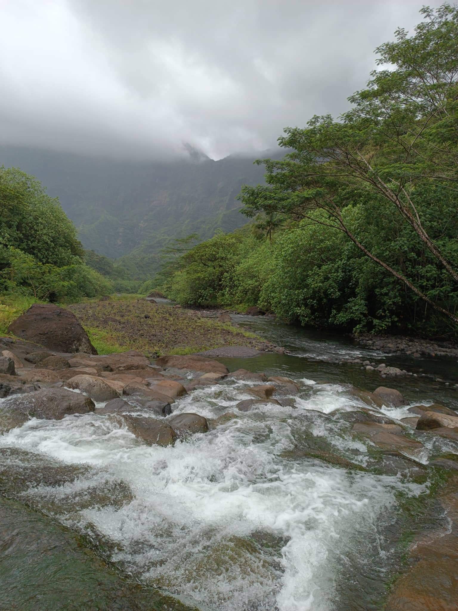 240a796501aab7c14893a76cb0eb651a.0